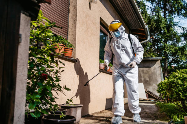 Professional Pest Control in North College Hill, OH