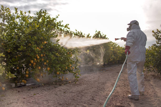 Best Residential Pest Control  in North College Hill, OH